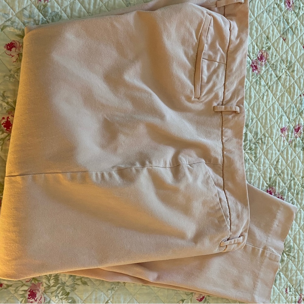 Worthington Slim Ankle Size 14 pants